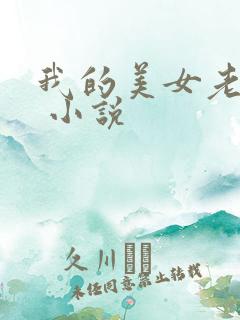 我的美女老婆们 小说