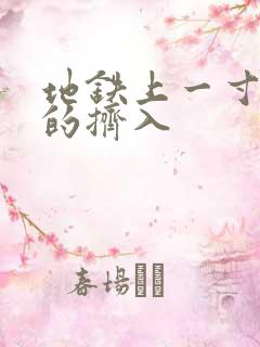 地铁上一寸一寸的挤入