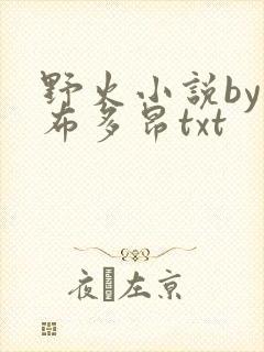 野火小说by夏布多昂txt