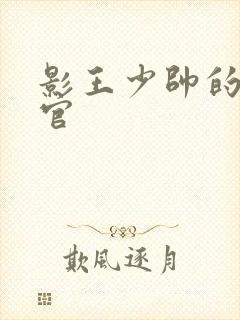 影王少帅的女长官