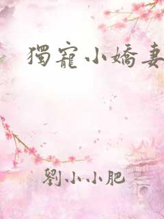 独宠小娇妻