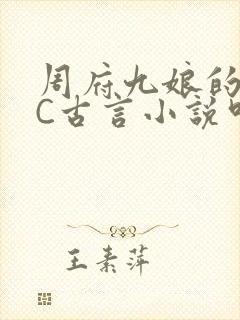 周府九娘的NPC古言小说叫什么