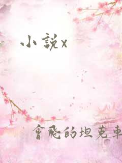小说x