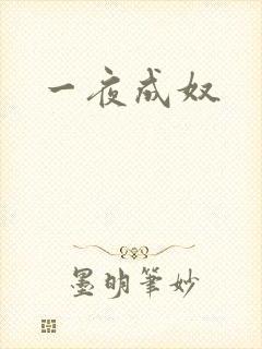一夜成奴