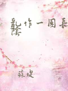 乱作一团长日光阴