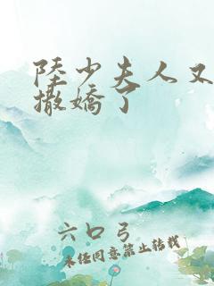 陆少夫人又双叒撒娇了