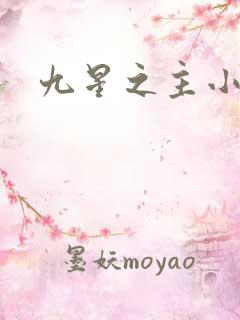 九星之主小说