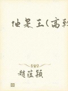 他是王(高干)