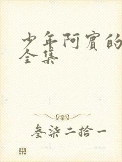 少年阿宾的故事全集