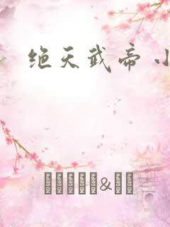 绝天武帝 小说
