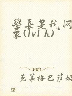 学长是我网恋对象(1v1 h)