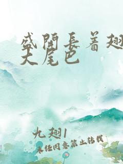 盛开长着翅膀的大尾巴