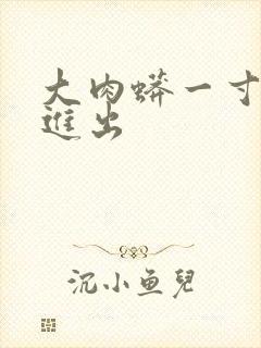 大肉蟒一寸一寸进出