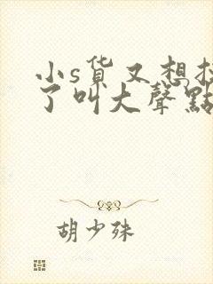 小s货又想挨c了叫大声点