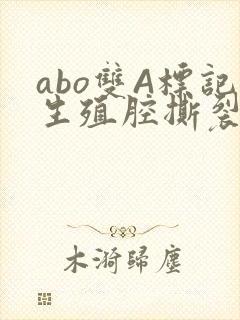 abo双A标记生殖腔撕裂