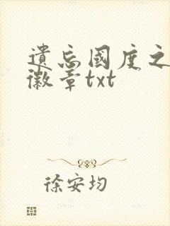 遗忘国度之神秘徽章txt