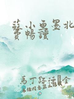 苏小鱼墨北枭免费畅读