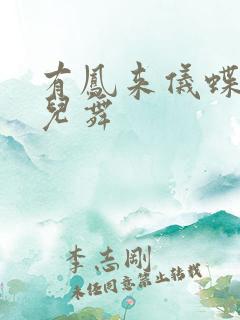 有凤来仪蝶儿蝶儿舞