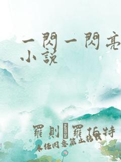 一闪一闪亮星星小说