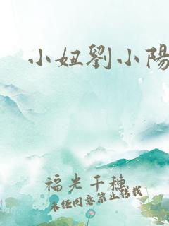 小妞刘小阳