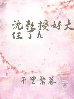 沈教授好大含不住了h