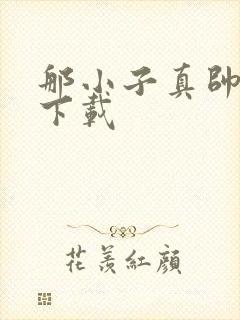 那小子真帅小说下载