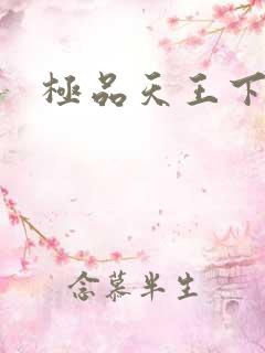 极品天王下载