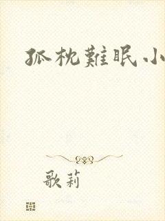 孤枕难眠小说