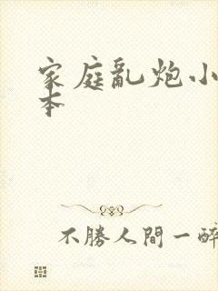 家庭乱炮小说全本