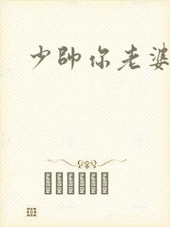 少帅你老婆
