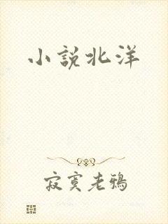小说北洋