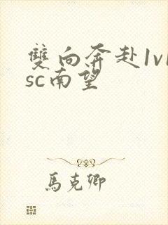 双向奔赴1v1sc南望