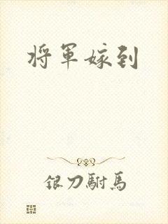 将军嫁到