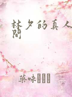 林夕的真人娃娃间