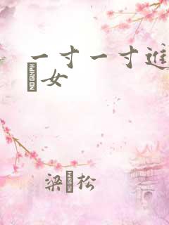 一寸一寸进入小姪女