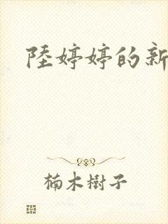 陆婷婷的新故事