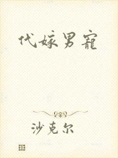 代嫁男宠