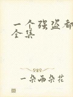 一个强盗都不留全集