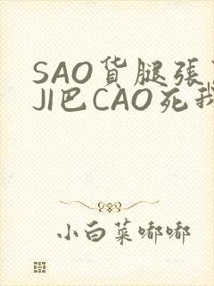 SAO货腿张开JI巴CAO死我
