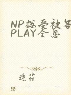 NP总受被各种PLAY全息
