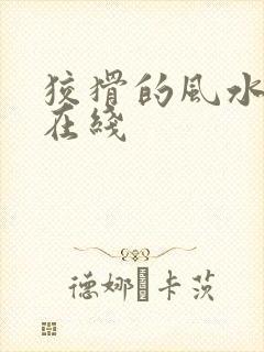 狡猾的风水相师在线