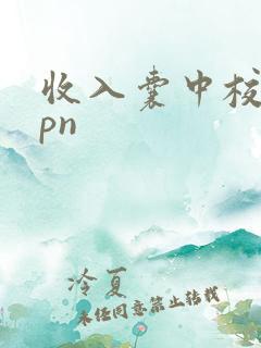 收入囊中校园hpn