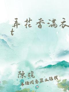 弄花香满衣txt