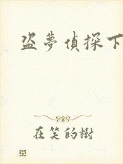 盗梦侦探下载