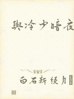 与冷少暗夜孽爱