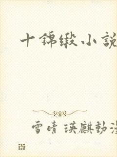 十锦缎小说