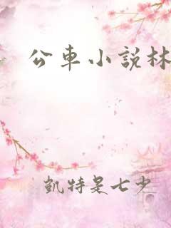 公车小说林蔓蔓