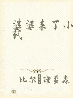 婆婆来了小说下载