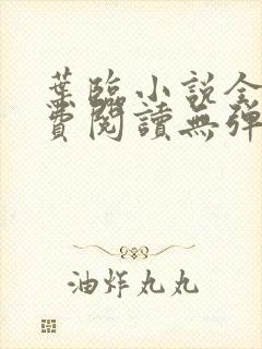 叶临小说全文免费阅读无弹窗