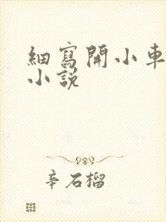 细写开小车车的小说